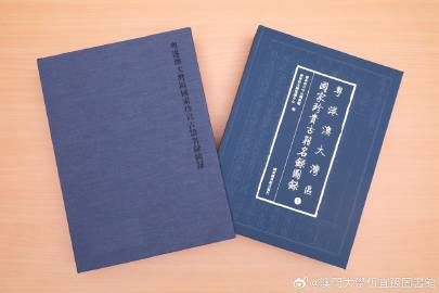 2025年新澳门和香港正版精准免费大全,全面释义、专家解析解释与落实与警惕虚假宣传-全面释义、专家解析解释与落实 解析与释义