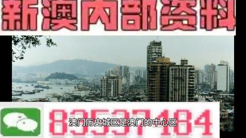 2025年新澳门天天免费精准大全,的警惕虚假宣传-全面释义、专家解析解释与落实