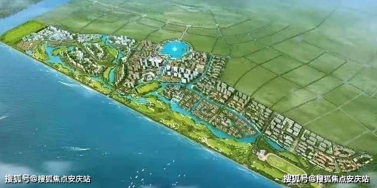 新澳彩最准一码100%精选解析、专家解析解释与落实