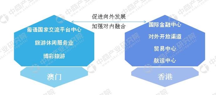 新澳门和香港4949免费精准资料大全,精选解析、专家解析解释与落实