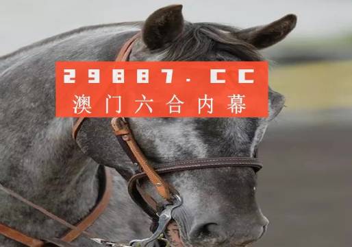 本地焦点 第5页